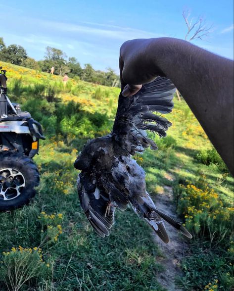 Great opening day of 2020 dove season with the Carolina Whitetails TV crew give them a follow @carolinawhitetailstv on instagram! Dove Season, White Tail, Opening Day, Hunting, Sci Fi, Tv, On Instagram, Instagram, Art