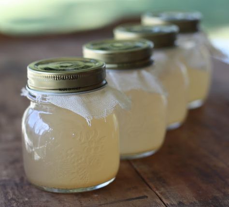 How To: Make Apple Vinegar From Scratch - Great way to use leftover peels and apple cores Apple Vinegar, Home Canning, Fermented Foods, Fermenting, In A Jar, Canning Recipes, Cider Vinegar, Home Recipes, Apple Cider Vinegar