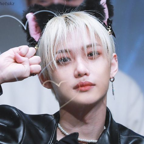 Felix Cat, Hybrid Cat, Cat Boys, Cat Icon, Like A Cat, Felix Stray Kids, Cat Ears, Stray Kids, Kittens