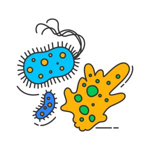 Protista Kingdom, Kingdom Monera, Living Organisms, Biology