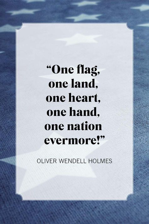 patriotic quotes holmes Patriotic Quotes, Country Strong, William Faulkner, Veteran's Day, Great Names, Frederick Douglass, American Children, Proud Of You, What You Can Do