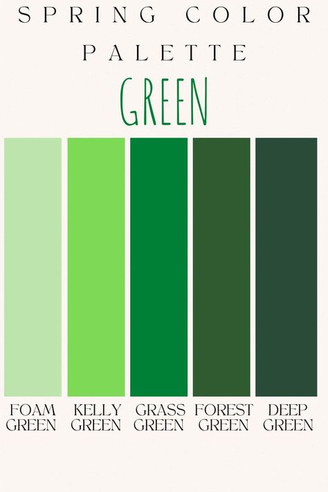 Spring is right around the corner and that means that everything will soon be in full bloom! In celebration of the soon to be arriving green leaves and green grass, here is a fresh spring color palette that is sure to provide some inspiration when thinking of all things green! #stpatricksdayoutfits #springoutfitideas #lightwashjeansoutfit #darkwashjeansoutfit #springcolors Color Palettes Spring, Green Aesthetic Outfit, True Spring Color Palette, True Spring Colors, Palette Green, Kitchen Colours, Spring Color Palette, True Spring, Green Color Schemes