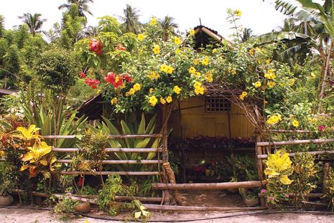 Philippines Houses, Philippines Architecture, Nipa Hut, Scene Reference, Philippine Architecture, Beautiful Philippines, Philippine Houses, Bahay Kubo, Tropical House Design