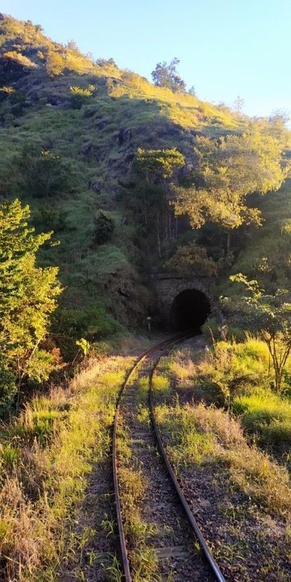 Reference Places, Train Tunnel, Abandoned Train, Railroad Pictures, Beautiful Landscape Photography, Rail Car, Old Trains, Trainspotting, Train Pictures