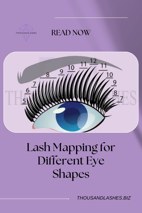 Lash Mapping for Different Eye Shapes Squirrel: To achieve this look, start short and gradually lengthen, with the halfway point being the most extended length, before shortening progressively again. Lash Map Hooded Eyes, Make Eyes Bigger, Different Eye Shapes, Downturned Eyes, Making A Plan, Lash Map, Lash Mapping, Artist Tips, Best Lashes