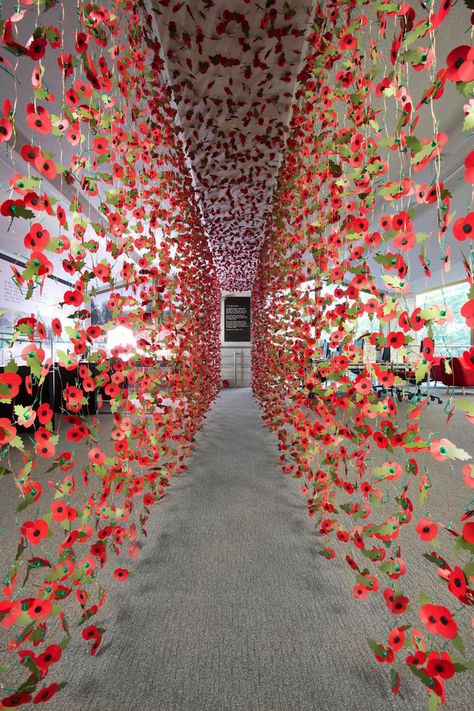 Rebecca Louise Law's 8,000 remembrance poppies form a stunning corridor Paper Poppies, Rebecca Louise, Remembrance Poppy, Flower Installation, Remembrance Day, Deco Floral, Art Installation, Rustic Garden Decor, Cool Ideas