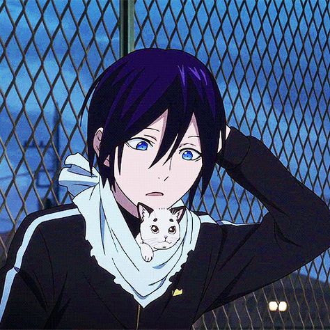 Milord and yato Noragami Bishamon, Noragami Cosplay, Yato And Hiyori, Yato Noragami, Noragami Anime, Tamako Love Story, Dengeki Daisy, Arte Sailor Moon, Cat Background