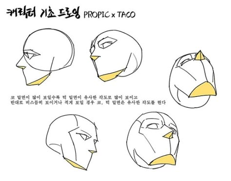 the more visible the bottom of the nose is, the bottom of the jaw is also visible as it is in a similar angle with the nose. The visibility of the bottom of the nose decreases, the angle decreases, and the bottom of the jaw is barely seen. Taco Drawing, Drawing Anatomy, Manga Tutorial, 얼굴 드로잉, Anatomy Tutorial, Human Anatomy Drawing, 얼굴 그리기, Face Drawing Reference, Drawing Heads