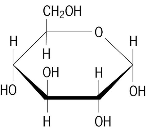 Glucose Chemical Structure, Carbohydrates Biology, Empirical Formula, What Are Carbs, Structural Formula, Peptide Bond, Molecule Tattoo, Functional Group, Science Rules