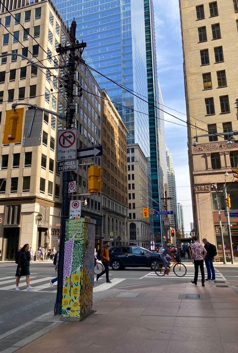 Bay Street Toronto, Snapchat Picture, Shahrukh Khan, Toronto Canada, Toronto, Mood Board, Snapchat, In This Moment, Collage