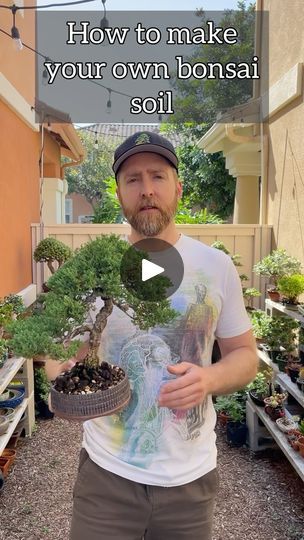 Nature Design Art, Diy Trees, Outdoor Bonsai Tree, Bonsai Trees For Sale, Bonsai Ideas, Bonsai Soil, Gardening Plants, Bonsai Trees, Bonsai Tree