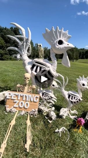 29K views · 17K reactions | @tractorsupply made all my spooky season dreams come true 👻🎃😁

I’ve always wanted a petting zoo…😆😆

#eggsandbunnies #hobbyfarm #farm #farmlife #farmanimals #halloween #halloweendecor #spookyseason #funny #fyp | Carrie | eggsandbunnies · Original audio Too Late Petting Zoo Halloween, Skeleton Petting Zoo Halloween, Farm Halloween Party, Animal Trunk Or Treat Ideas, Halloween Zoo, Halloween Stations, Scary Farm, Farm Animals Decor, Zoo Photos