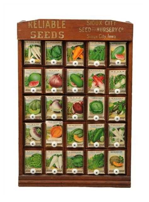 Early Reliable Seeds Display Cabinet Seed Cabinet, Old General Stores, Vintage Wooden Crates, Seed Art, Soap Display, Garden Party Theme, Seed Box, Survival Gardening, Silk Floral Arrangements