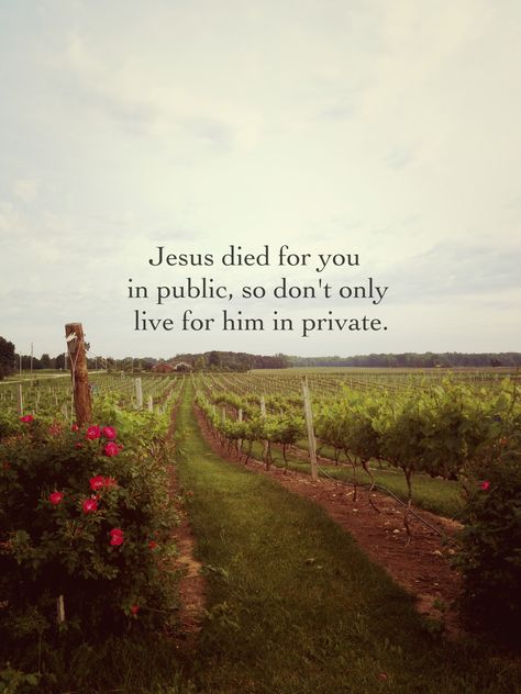 // Jesus died for you in public, so don't only live for him in private. // Uplifting Christian Quotes, You Need Jesus, Encouragement Quotes Christian, Christian Lyrics, God Heals, About Jesus, God Is Real, Bible Motivation, Daily Scripture