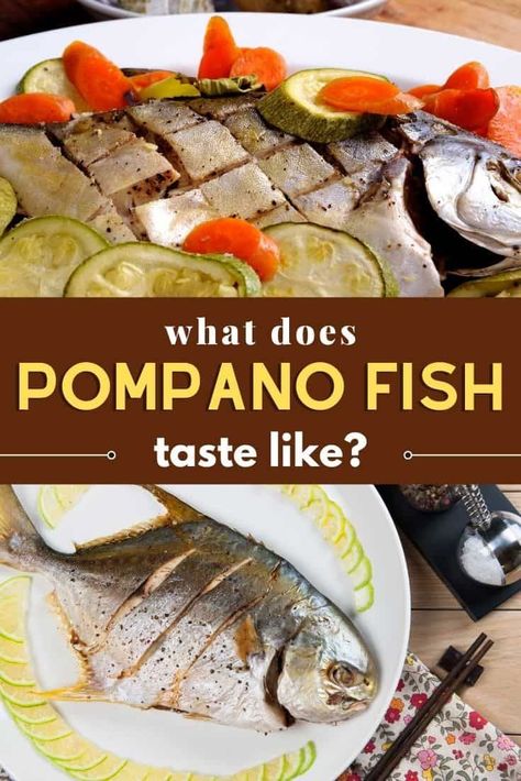 The pompano fish has lots of nutritional benefits and astounding features that makes it one of the finest selections, which are highly desirable for food lovers and chefs. In this article, you will get to know what makes pompano fish unique and we’ll define how it really tastes like, for first-timers to have an idea of what to expect from the pompano fish. Golden Pompano Fish Recipe, Pampano Recipe, Pompano Fish Recipe, Pompano Fish, Food Knowledge, Gourmet Chef, Rich In Protein, Culinary Skills, Different Recipes