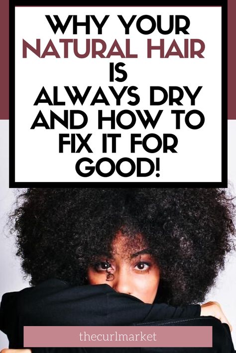 Dry Natural Hair, Natural Hair Moisturizer, Natural Hair Routine, Scrub Corpo, Natural Hair Regimen, How To Grow Natural Hair, American Hairstyles, Natural Hair Care Tips, Hair Regimen