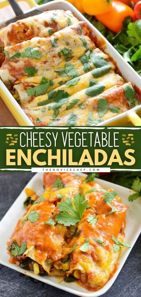 Vegetable Enchiladas Recipe Healthy Enchiladas Vegetarian, Easy Vegetarian Enchilada Casserole, Vegan Enchiladas Recipe, Veg Enchiladas Recipe, Enchiladas Recipe Vegetarian, Vegitaren Enchiladas, Easy Enchiladas Vegetarian, Best Vegetarian Enchiladas, Meatless Enchiladas Recipes