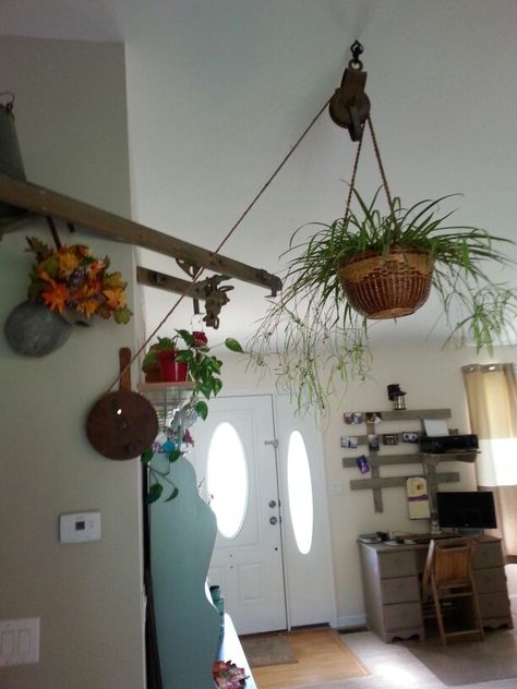 Hanging Pot Rack Pulley, Pulley Hanging Plants, Pulley System For Plants, Hanging Plant Pulley System, Pully Plant Hanger, Plant Pulley System, Plant Pulley, Cafe Plants, Hanging Indoor Plants