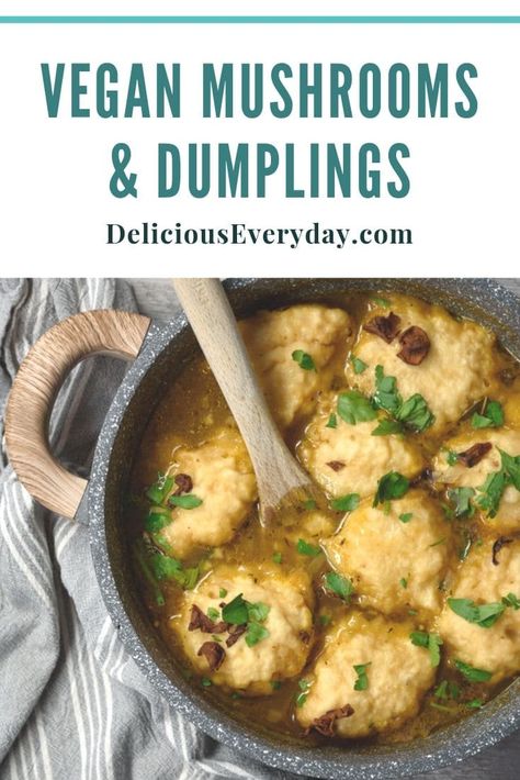 Mushroom Dumpling Soup, Vegetarian Stew And Dumplings, Mushroom Broth Uses, Vegan Stew And Dumplings, Dumplings Recipes Homemade, Vegan Soup Dumplings, Vegetarian Chicken And Dumplings, Chicken And Dumplings Homemade, Vegan Dumpling Soup