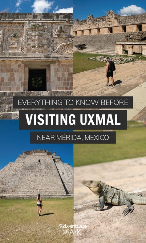 Everything you need to know to visit the Uxmal ruins near Mérida Mexico City Food, Food In Mexico, Mayan Architecture, Mexico Itinerary, Things To Do In Mexico, Merida Mexico, Mexico Travel Guides, Trip To Mexico, Mexico City Mexico