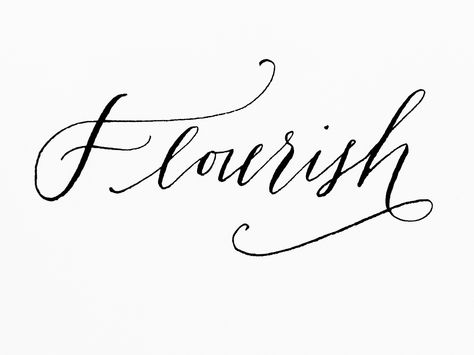 ... Flourish Tattoo, 2024 Word, Pretty Lettering, Fun Calligraphy, Calligraphy I, Creative Class, Sumi Ink, Lettering Practice, Brand Fonts