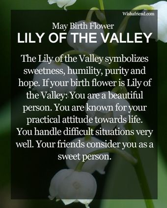 Lily of the Valley is May's birth flower. Description from pinterest.com. I searched for this on bing.com/images Flower Lily Of The Valley, May Birth Flower, May Birth Flowers, Etiquette Vintage, Flower Meanings, Language Of Flowers, Month Flowers, Birth Month Flowers, Describe Me