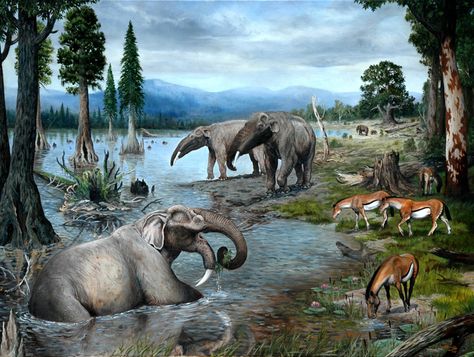 Dinosaur Era, Prehistoric Wildlife, Dinosaur Pictures, Terra Nova, Ark Survival Evolved, Prehistoric Art, Paleo Art, Animals Friendship, Extinct Animals