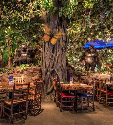 Jungle Themed Restaurant, Safari Restaurant, Jungle Restaurant, Jungle Cafe Design, Jungle Cafe, Rainforest Theme Restaurant, Jungle Aesthetic, Rainforest Restaurant, Rainforest Cafe Aesthetic