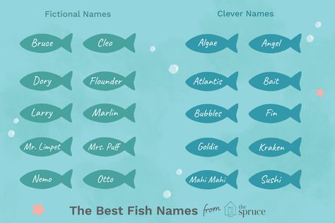 Beta Fish Names, Goldfish Names, Fish Names, Cute Pet Names, Turtle Names, Beta Fish, Cool Fish, Fish Supplies, Aesthetic Names