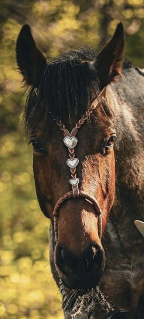 Western Horse Tack Turquoise, Leather Horse Tack, Horse Tack Diy, Ranch Wife, Leather Work Ideas, English Horse Tack, Horse Ownership, Western Things, Western Horse Saddles