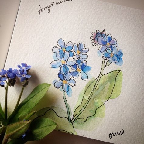 Love these little forget-me-not flowers. 4/100 #the100dayproject #sketchaday…                                                                                                                                                                                 More Doodle Tattoo, Flowers Drawing, Forget Me Nots, Watercolor Flowers Paintings, Flowers Spring, Watercolor Ideas, Sumi E, Water Colors, Forget Me Not