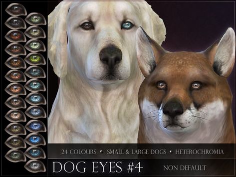 Non-default Eyes for the Sims 4 dogs Found in TSR Category 'Sims 4 Dogs' Sims 4 Dog Cc, Sims 4 Pets Mod, Sims Pets, Sims 4 Cc Eyes, Sims Packs, Sims 4 Body Mods, Cute Dog Collars, Sims 4 Characters, Custom Dog Collars