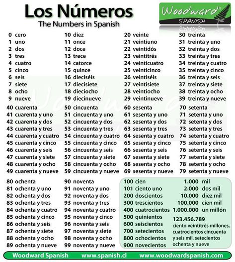 Numbers In Spanish, Common Spanish Phrases, Spanish Words For Beginners, Basic Spanish Words, Spanish Numbers, Learn To Speak Spanish, Spanish Basics, Learning Spanish Vocabulary, Study Spanish