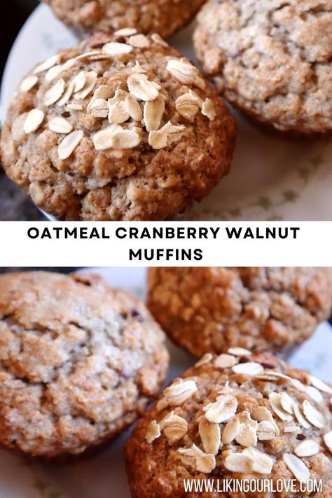 Cranberry Walnut Muffins, Cranberry Oatmeal Muffins, Walnut Oatmeal, Walnut Muffins, Cranberry Muffins, Oatmeal Muffins, Holiday Brunch, Dried Cranberries, Muffin Recipes