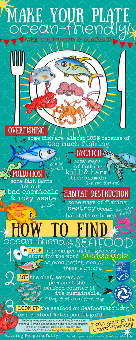 A fun infographic with what you need to know about sustainable seafood! Choose only ocean-friendly seafood!!! | Living Porpoisefully Holiday Seafood Recipes, Ocean Sustainability, Sustainable Fishing, Beach Clean Up, Tuna Fishing, Sustainable Seafood, Habitat Destruction, Free Printable Activities, Save Our Oceans