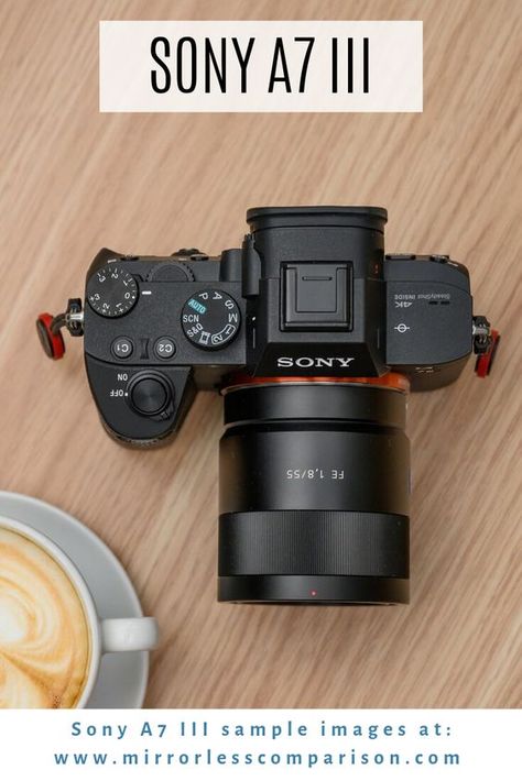 Wm Logo, Sony Cameras, Aesthetic Camera, Hello Photo, Best Camera For Photography, Sony A6300, Sony A7iii, Best Dslr, Sony Photography