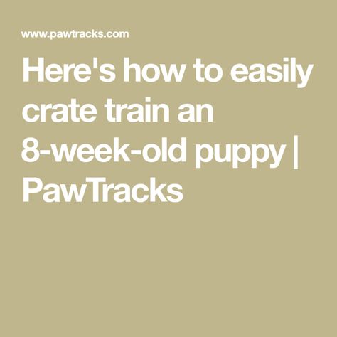 Here's how to easily crate train an 8-week-old puppy | PawTracks Crate Training Schedule, Crate Training Puppy Schedule, Puppy Schedule, Crate Train, Crate Training Puppy, Puppy Proofing, Puppy Pads, Crate Training, Training Your Puppy