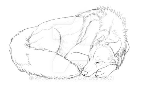 Sleep pose lines by https://www.deviantart.com/markedwolf on @DeviantArt Iberian Wolf, Sleeping Wolf, Wolf Base, Wolf Poses, Sleeping Drawing, Wolf Sketch, Canine Drawing, 강아지 그림, Wolf Drawing