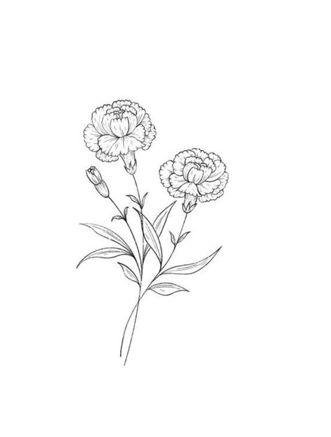 Marigold Bouquet Drawing, Marigold Fineline Tattoo, Delicate Marigold Tattoo, Marigold Wrap Around Tattoo, Fineline Marigold Tattoo, Marigold Sketch Simple, Carnation Sketch Simple, Carnation Bouquet Drawing, Realistic Carnation Tattoo