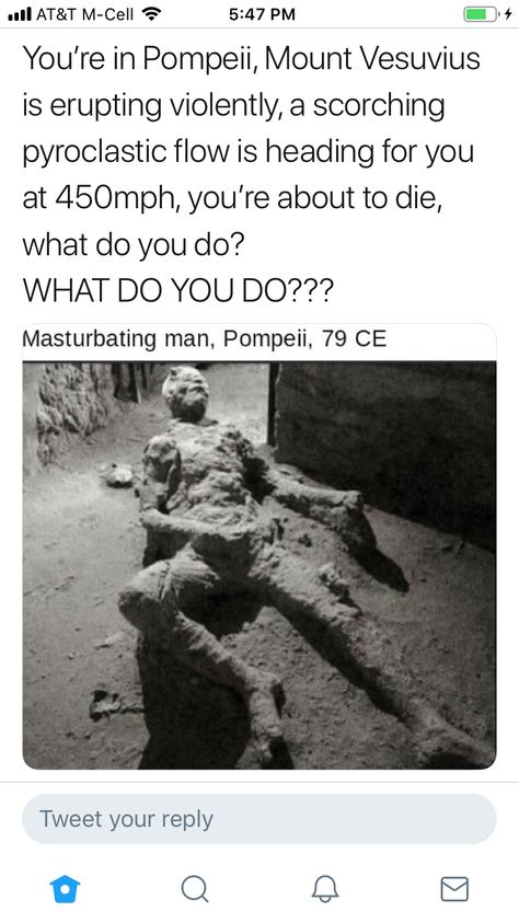 W. T. F? #pompeii #history Pompeii Aesthetic, Dark Jokes, Fresh Memes, Twisted Humor, Pompeii, Manado, Images Gif, Dankest Memes, Funny Texts