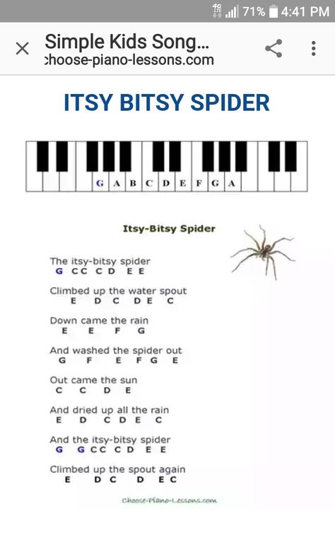 Itsy Bitsy Spider, Nursery Rhymes, Piano, Sheet Music Keyboard Noten, Piano Sheet Music Beginners, Piano Songs Sheet Music, Piano Songs For Beginners, Keyboard Sheet Music, Piano Sheet Music Letters, Beginner Piano Music, Piano Music Easy, Piano Chords Chart