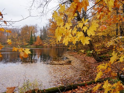 Northern Wisconsin, Wisconsin Travel, Lake Boat, Bike Path, Weekend Trip, Cross Country Skiing, Pine Forest, Nature Trail, Gorgeous View