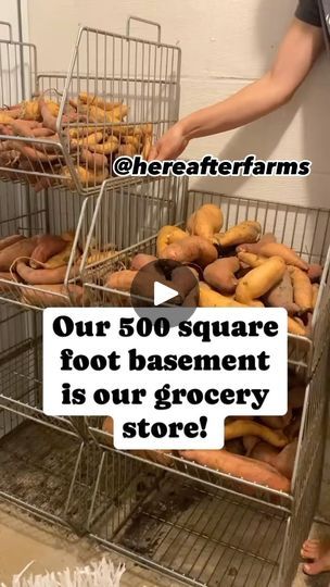 Storing Carrots, Canning Shelf, Big Basement, Huge Basement, How To Store Carrots, Food Storage Rooms, Huge Houses, Canning Food Preservation, Root Veggies