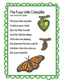 Caterpillar Preschool, Butterfly Lessons, Preschool Poems, Butterfly Songs, Hungry Caterpillar Activities, Insects Preschool, Bugs Preschool, Circle Time Songs, Kindergarten Songs