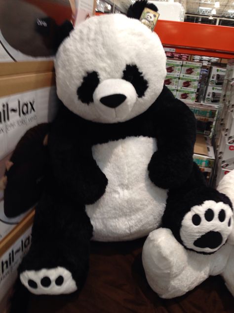 Giant Stuffed Panda!! Panda Plushie Aesthetic, Panda Teddy, Panda Doll, Panda Soft Toy Aesthetic, Panda Stuffed Animal, Big Panda, Big Stuffed Animal, Panda Stuff, Giant Stuffed Animals