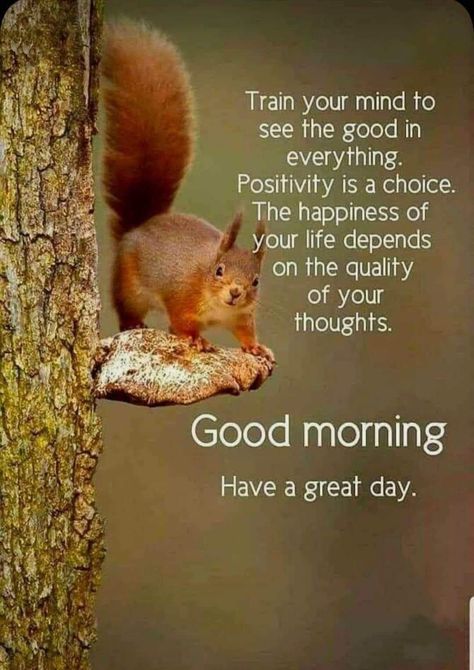 Balaji Images, 10 Avatars, Funny Squirrel Pictures, Morning Meme, Weekly Blessings, Morning Moon, Morning Scripture, Good Morning Dear, Good Night Prayer Quotes