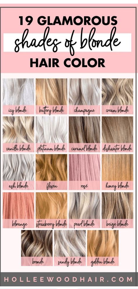 Different Blonde Tones, Different Shades Of Blonde Hair, Champagne Blonde Hair Color, Shades Of Blonde Hair Color, Shades Of Blonde Hair, Caramel Hair Highlights, Different Shades Of Blonde, Champagne Blonde Hair, Dark Ombre Hair