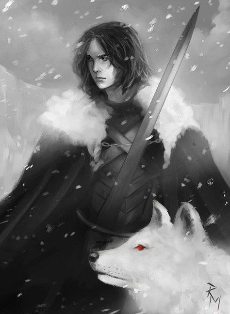 Jon Snow Jon Snow Book, Jon Snow Art, Calendar February, Game Of Thrones Series, Game Of Thrones Books, John Snow, The North Remembers, Song Of Ice And Fire, Asoiaf Art