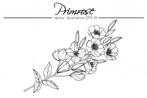 Primrose Primrose Tattoo, Violet Flower Tattoos, Primrose Flower, Violet Tattoo, Couples Tattoo, Native Tattoos, Porch Addition, Flower Drawing Tutorials, Birth Flower Tattoos