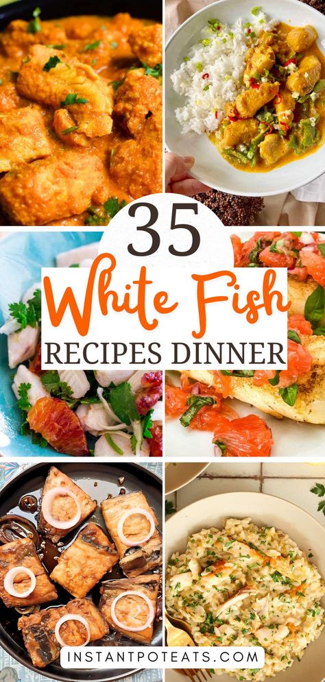 Check out these 35 delicious white fish recipes that are not only easy to prepare but also bursting with flavor! Perfect for seafood lovers and health enthusiasts alike. #HealthyRecipes #WhiteFishCooking #SeafoodDelight" Not Fishy Fish Recipes, Whiting Recipes Fish, Simple White Fish Recipes, How To Cook White Fish Easy Recipes, Asian White Fish Recipes, Healthy White Fish Recipes, Baked White Fish Recipes Healthy, Fish Recipes Dinner, Whiting Fish Recipes